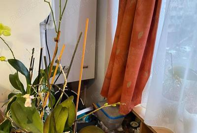 Apartament cu 2 camere decomandat în Micro 17 - 6