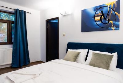 Casă individuală cu 18 camere cu Canalizare în Armeneasca - 9