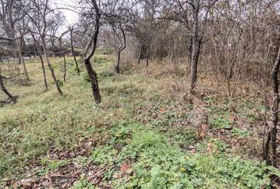 Casă de vânzare, 60 mp, 800 mp teren Dâmbu Rotund zona Dedeman - 8