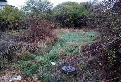 Teren de 1200 mp, în Chiajna