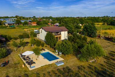 DOMENIU CU LAVANDA DE VANZARE - 1