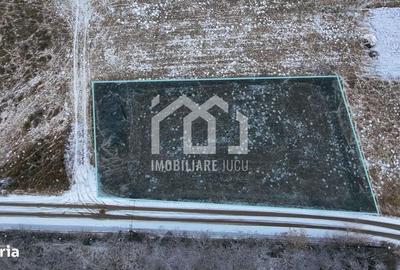 Spațiu comercial, în Juc-Herghelie - 4