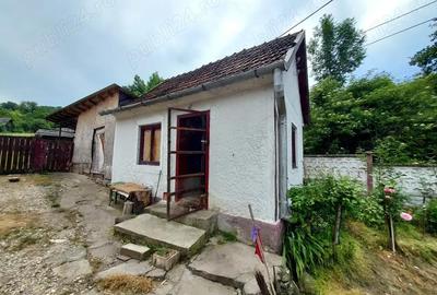 Casă cu 2 camere cu Teren 7000 Mp în Nojag - 3