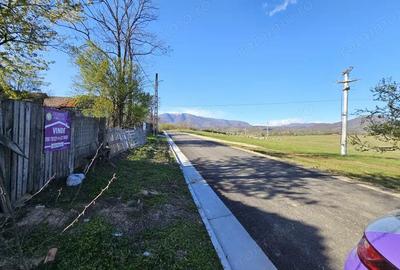 Vanzare teren 4606 mp - Sat Balta - Runcu - la aproximativ 20 km de Targu Jiu - 1