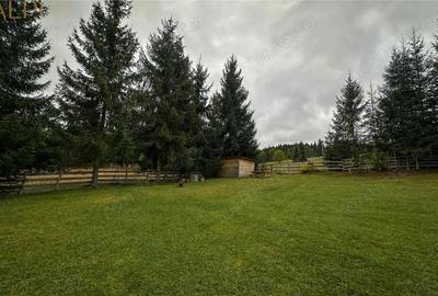 Casă cu Teren 3450 Mp în Colibița - 1