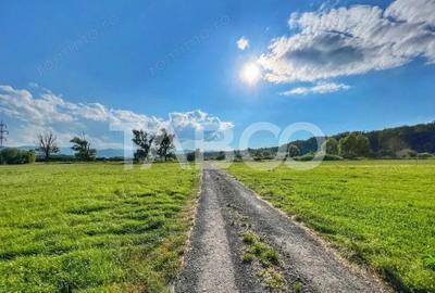 Teren intravilan 712 mp PUZ APROBAT aproape de DJ zona Versailles - 3