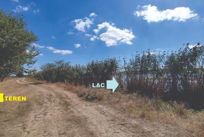 Vanzare teren 4400 mp Snagov - Gruiu, cu deschidere la lacul Snagov - 7