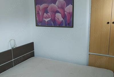 Apartament cu 2 camere decomandat, mobilat în Universitate - 3