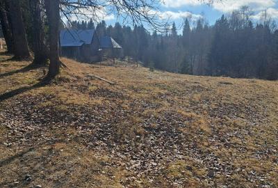 Spațiu comercial, în Dealu Negru - 1