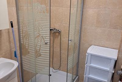 Garsonieră semidecomandată în Ferentari - 8