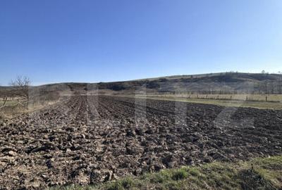 Teren intravilan 5.800 mp, poten?ial de parcelare-construc? - 2