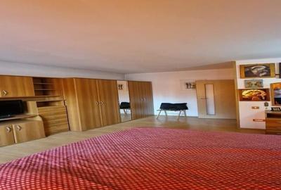 Casa Vila adiacent  Parcul Caro locatie superba Casa Vila adiacent  Parcul Caro locatie superba - 11