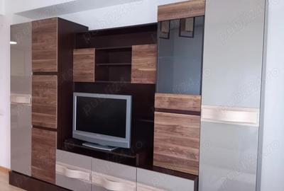 Apartament cu 2 camere semidecomandat în Roșu - 8
