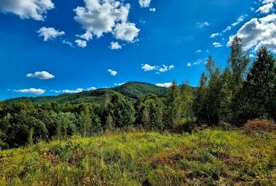 Vand teren in zona Fagaras, ideal refugiu vacanta/Comision 0 % - 9