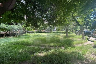 Teren de 232 mp, în Rovine