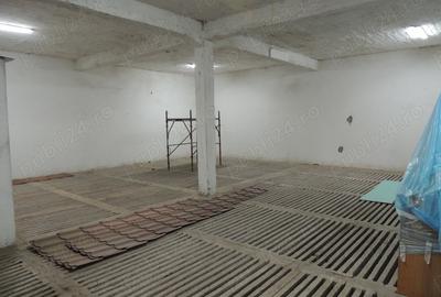 Inchiriez depozit (hala industriala) 462 mp Mihae?ti - Valcea - 6