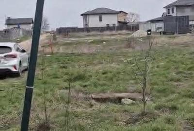 Spațiu comercial, în Berceni - 3