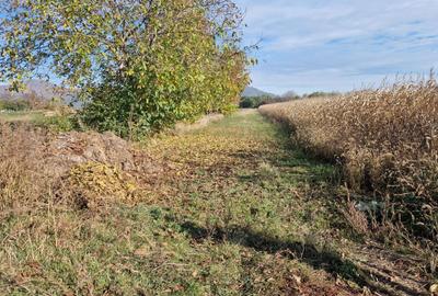 Spațiu comercial, în Central - 2