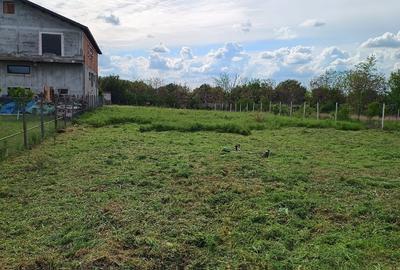 Teren Construcții intravilan de 1447 mp, în Vetiș - 1