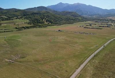 Teren de 14500 mp, în Glăjărie - 16