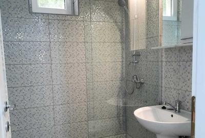 Apartament cu 2 camere decomandat în Calea Călărașilor - 3