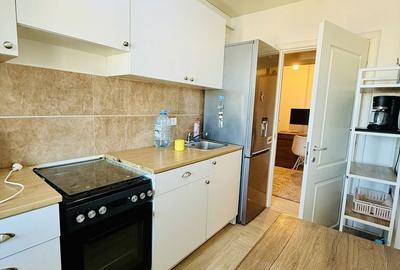 Apartament cu 2 camere, mobilat în Tătărași - 4