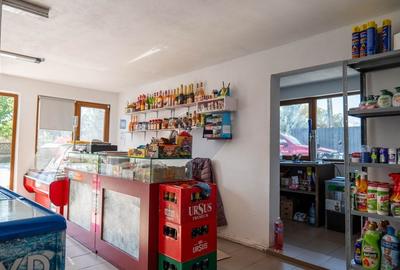 Casă individuală cu 5 camere cu Teren 1063 Mp în Ungureni (Corbii Mari) - 11