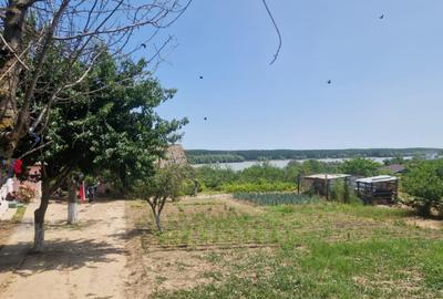 MAHMUDIA-TERENURI SI CASE - 1