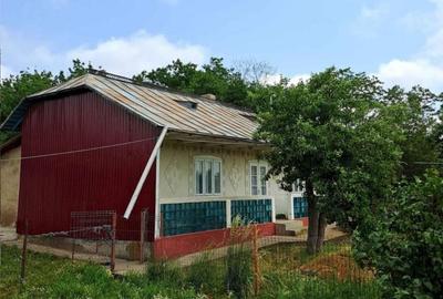 Casă cu 4 camere în Recia-Verbia - 4