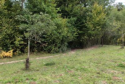 Casă cu 3 camere în Vârfurile - 6