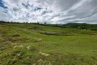 Teren extravilan 10000 mp, com Panatau - 6