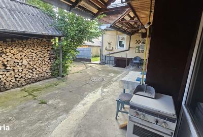 Casă cu 4 camere cu Teren 5500 Mp în Lerești - 14