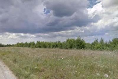 Teren de 5000 mp, în Măgurele