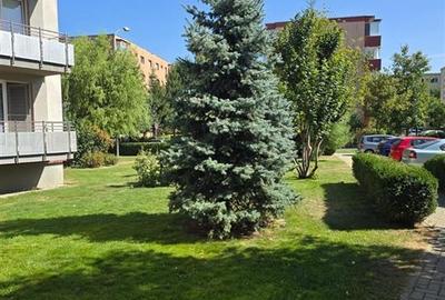 Penthouse de doua camere zona Avantgarden Bartolomeu Penthouse de doua camere zona Avantgarden Bartolomeu - 20