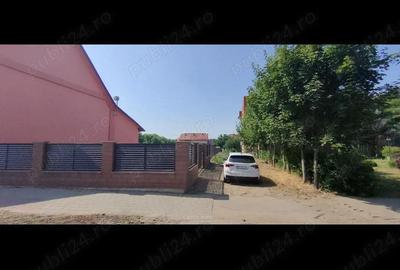 Teren de 2800 mp, în Lovrin - 9