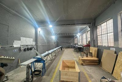 Inchiriere spatiu comercial mica productie -Calea Mosnitei Timisoara