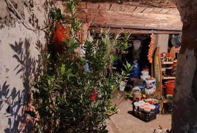 Casa 5 camere HALCHIU - SATU NOU - 33