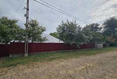 Casă cu Teren 2800 Mp în Bolotești - 5