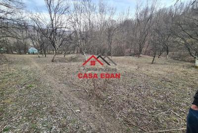 Teren de 3448 mp, în Provița de Jos