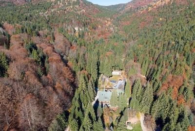 Teren Construcții extravilan de 20000 mp, în Siriu - 10