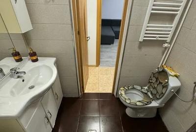 Garsoniera Berceni-Soseaua Oltenitei - 7