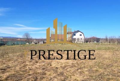 Teren agricol extravilan de 873 mp, în Șura Mică - 3