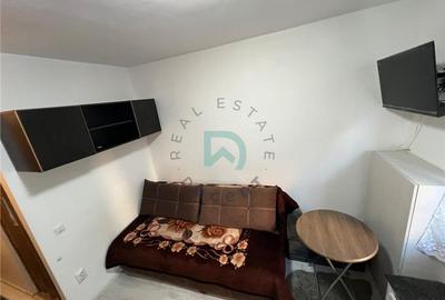 Camera Florilor, Brasov - 9