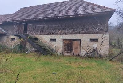 Casa 200 mp + intravilan 2 ha - 1