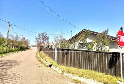 Casa noua si teren intravilan 646 mp, Bogdanesti, comuna Falciu - 5