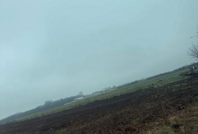 Teren de 23000 mp, în Domnești