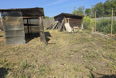 Casă cu 5 camere în Giubega - 11