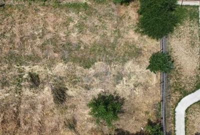 Spațiu comercial, în Brăilița - 6