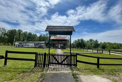 Teren *oportunitate investi?ie* in Carbune?ti-Sat - 5