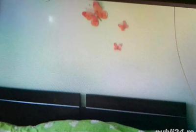 Apartament doua camere Fagaras - 5